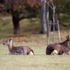 尻触れ合うも多少の縁