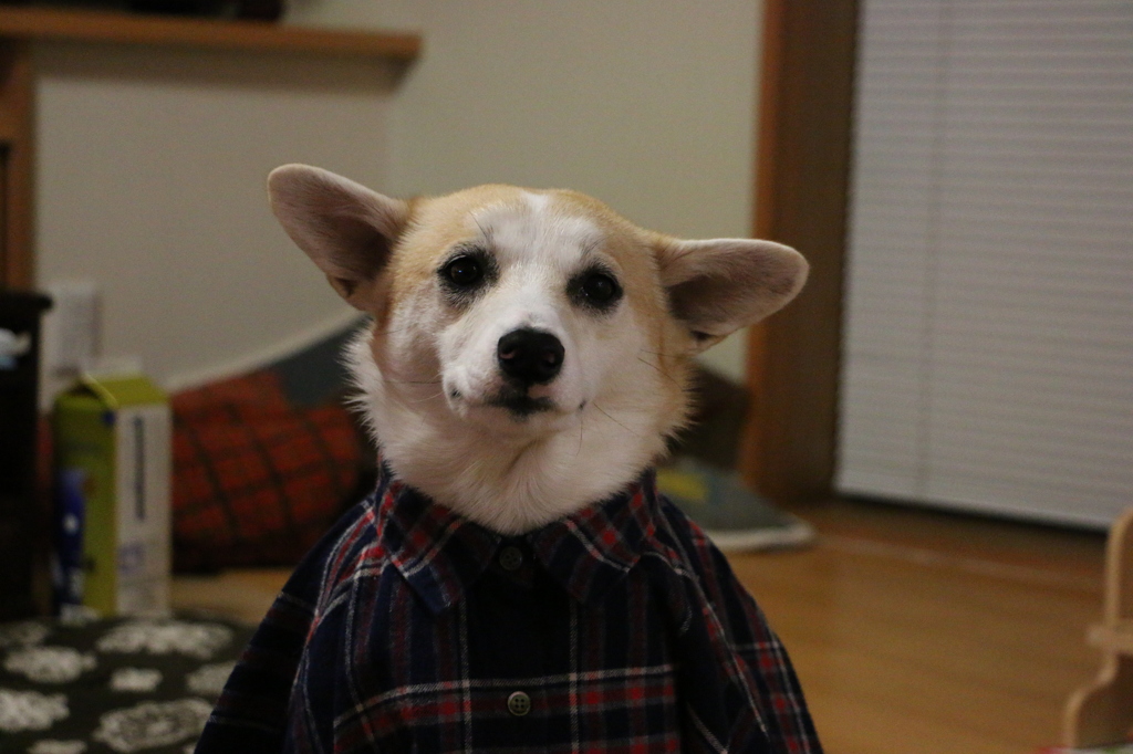 パートナー