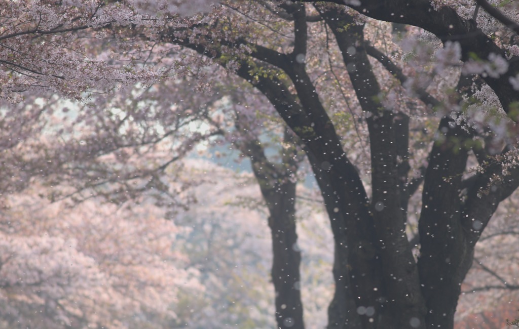 気がつけば...