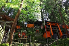 Fushimi-Inari-Taisha Shrine 7