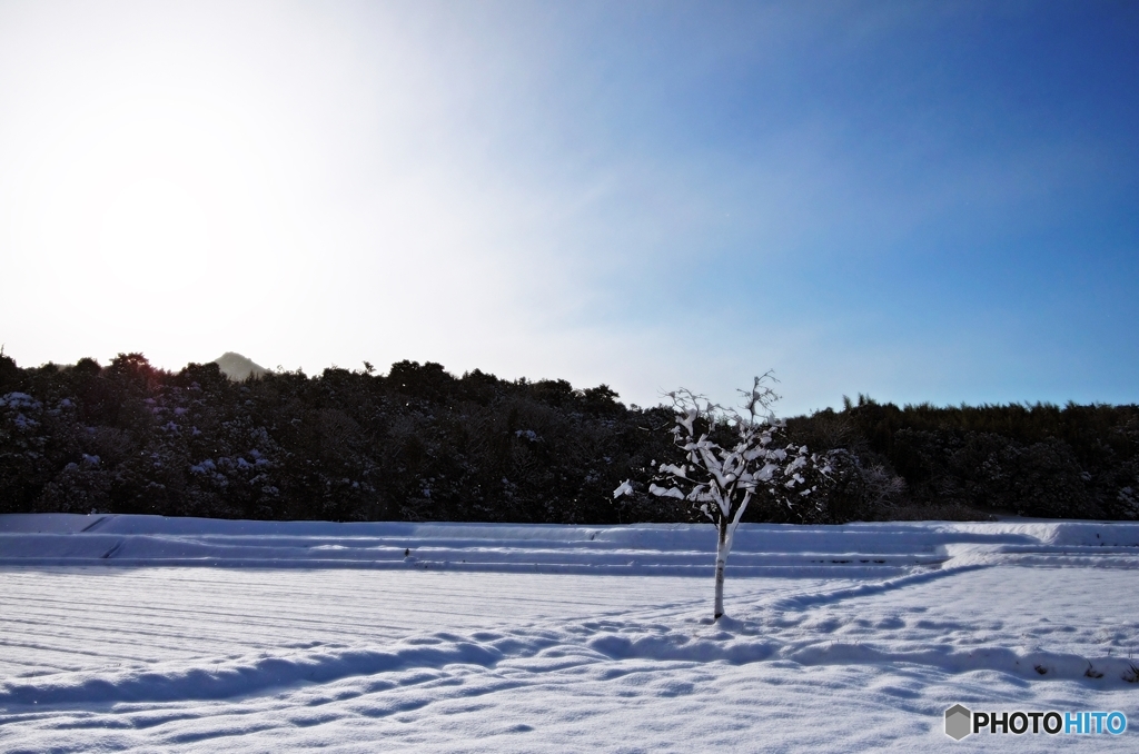 a snowy landscape 2