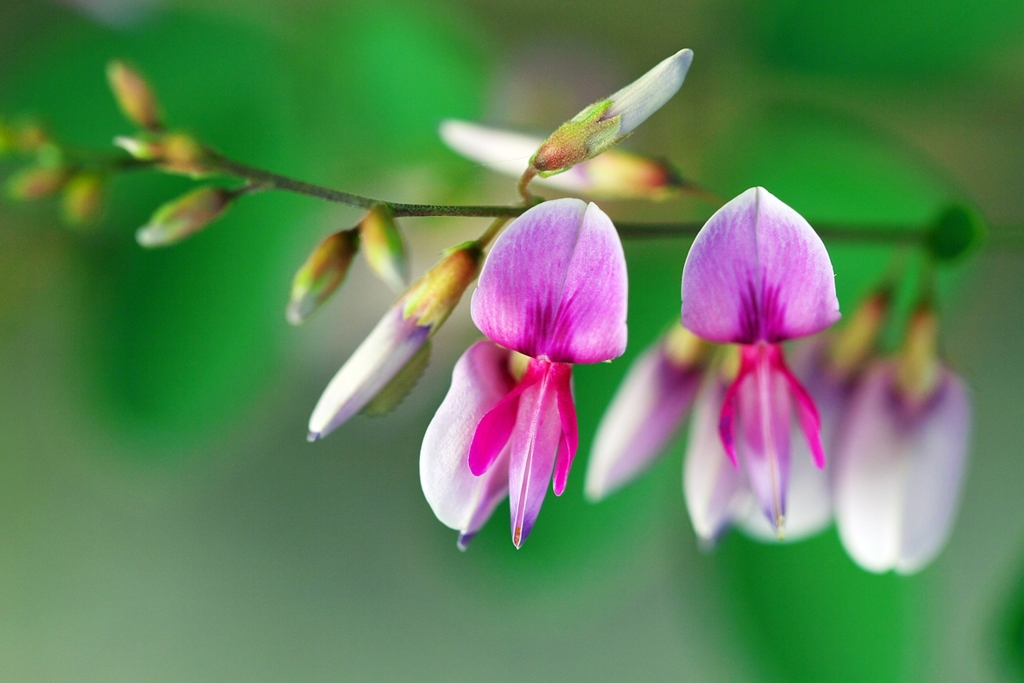 One of the colors of early autumn