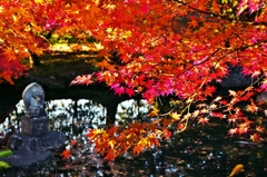 Cover of the autumnal scenery to cover t