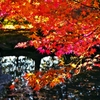 Cover of the autumnal scenery to cover t