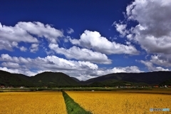 往く夏の空　１