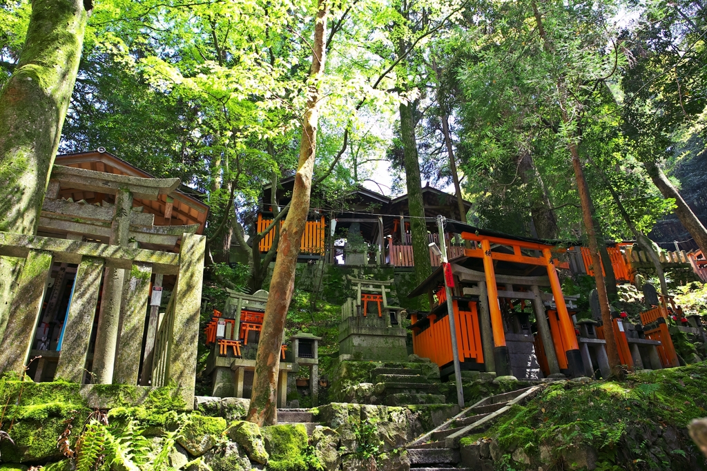 Fushimi-Inari-Taisha Shrine 6