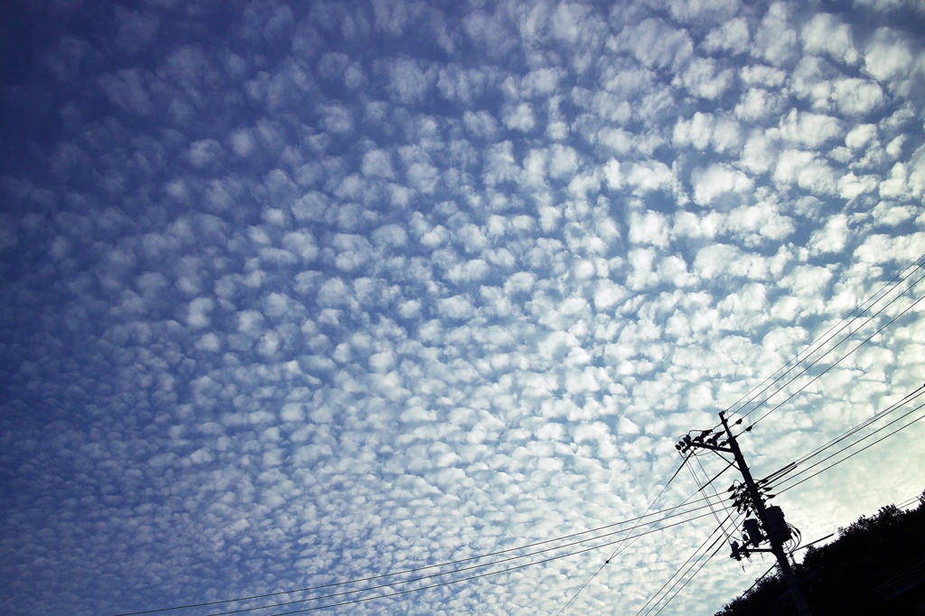 cirrocumulus clouds