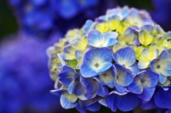 Change to blue