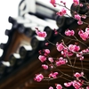 Early spring of ancient city