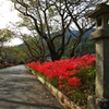 On the afternoon of early autumn