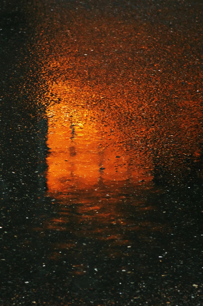 Light of the step