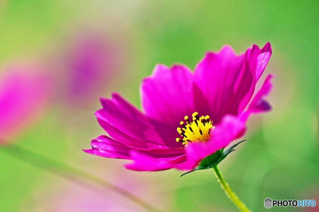 In sunlight of October 2