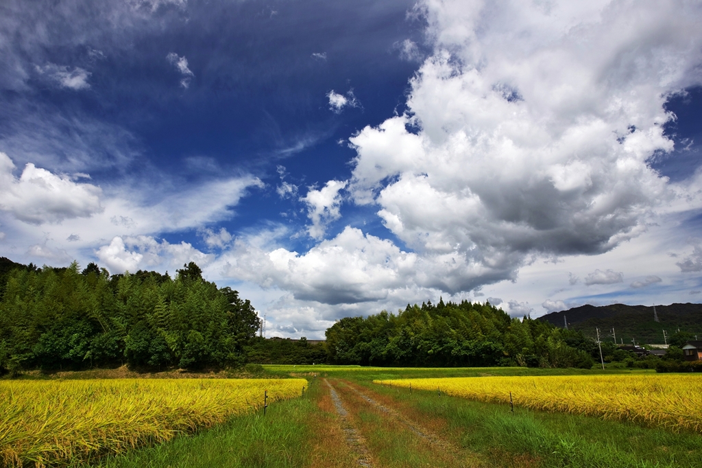 Landscape of autumn sky 4