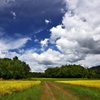 Landscape of autumn sky 4