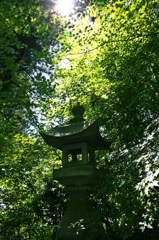 Stone lantern in green