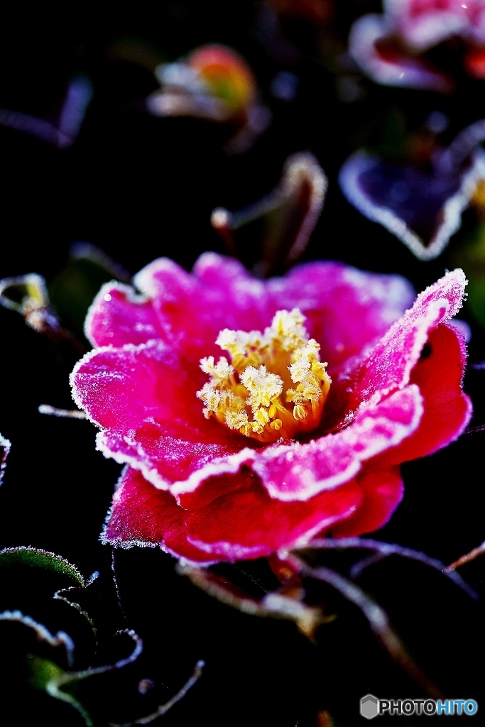 Freezing 8
