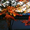 Autumn sunset