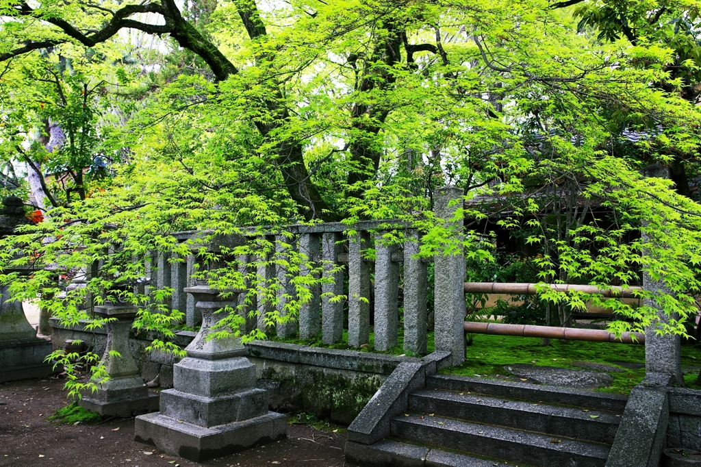 KITANO TENMAN-GU SHRINE 2