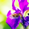 In brightness