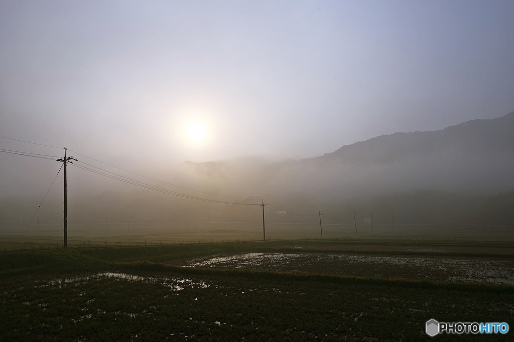 On the morning of early summer 1