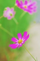 Portrait of the cosmos