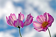 The Nearness of You