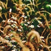 Left behind , fall