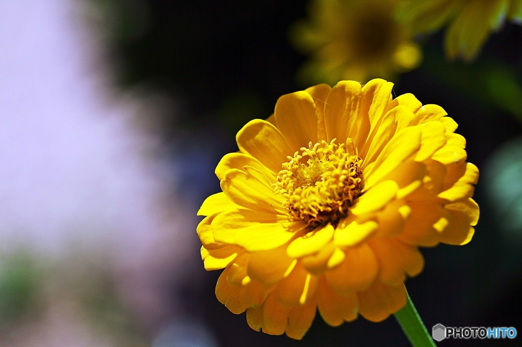 To bright