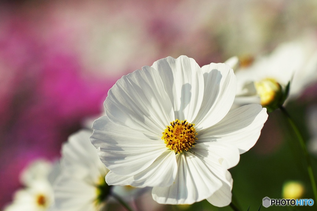 Autumn brightness 2
