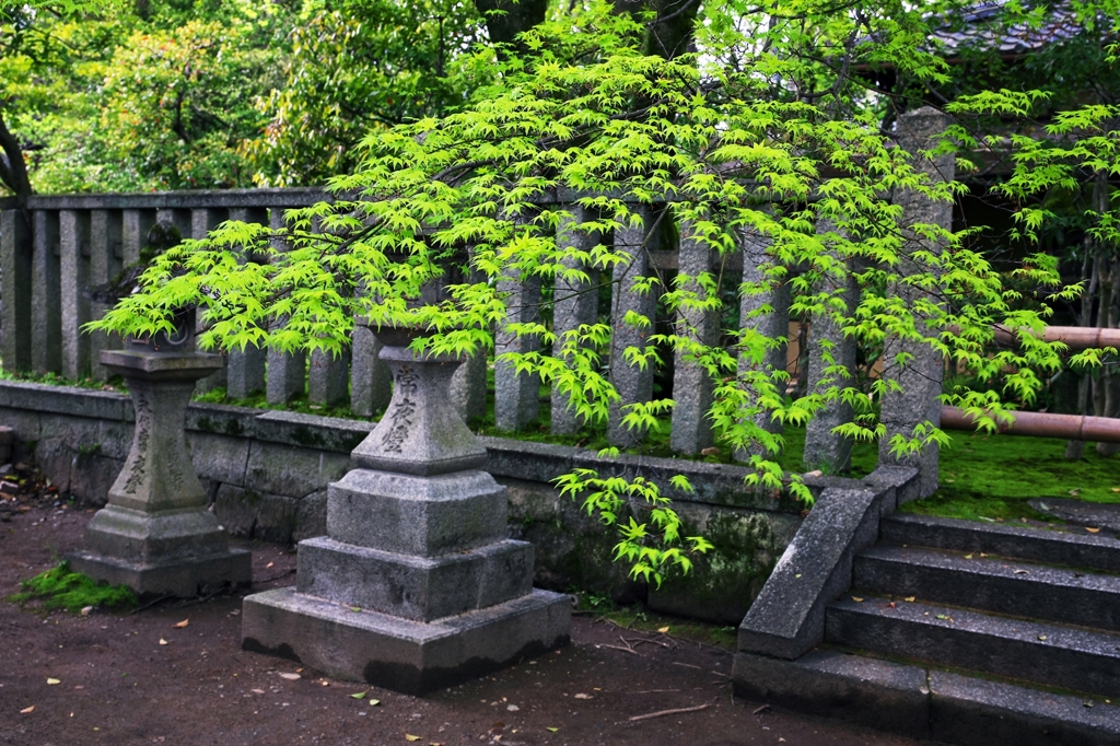 KITANO TENMAN-GU SHRINE 1