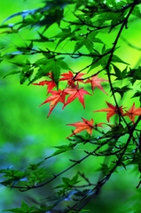 Here the change of the season
