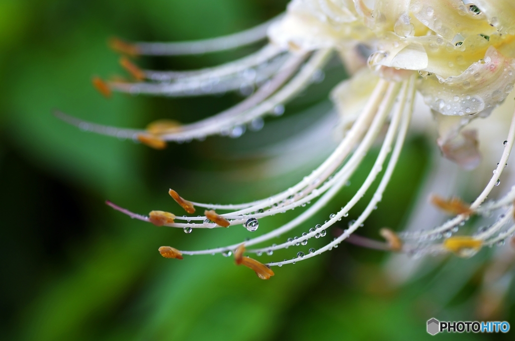 A rainy Sunday 3