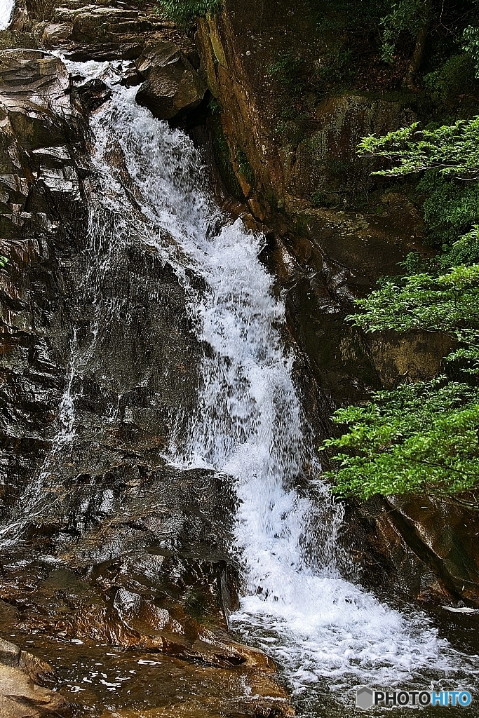 Mountain stream 5