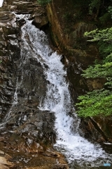 Mountain stream 5