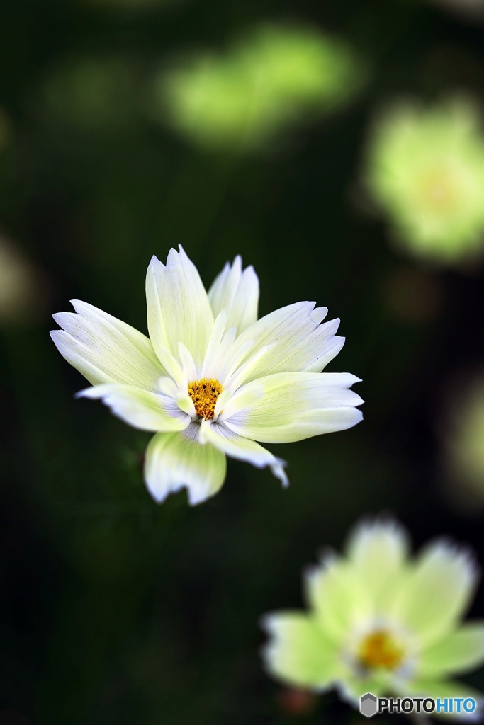 Light yellow brightness 2