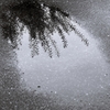 In rainy morning 1