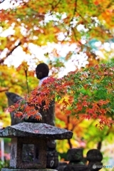 At an old temple of the autumn colors 9