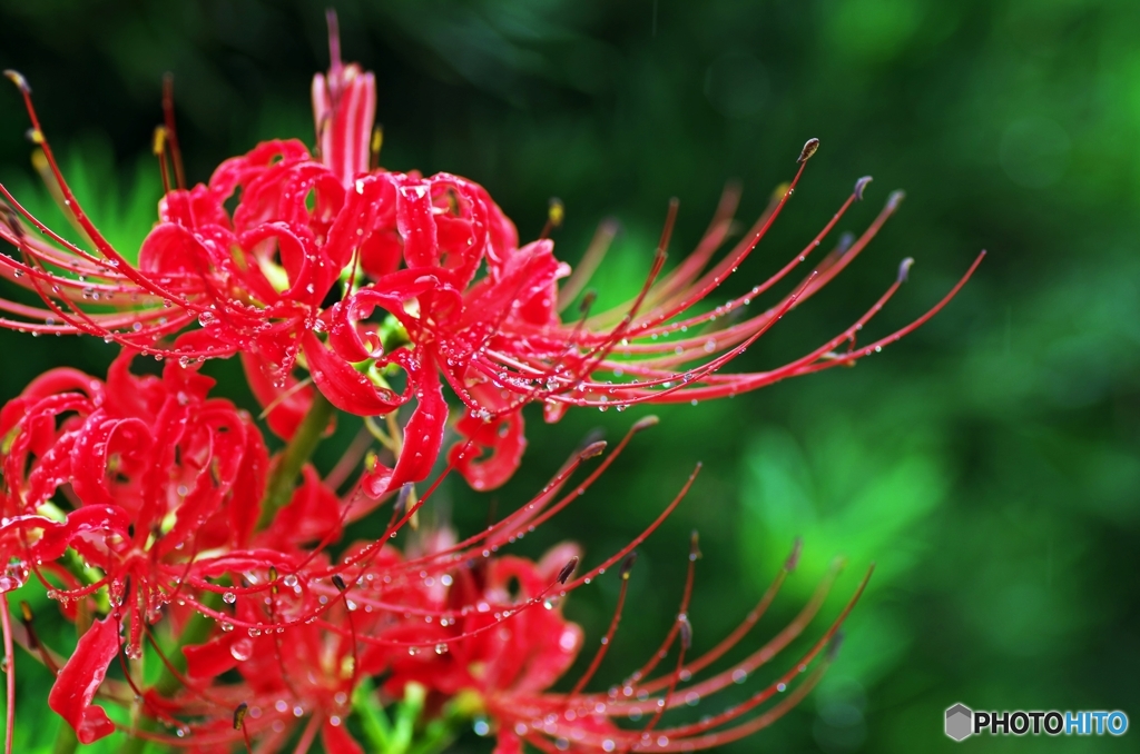 A rainy Sunday 5