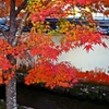 In old temple that autumn color is fille
