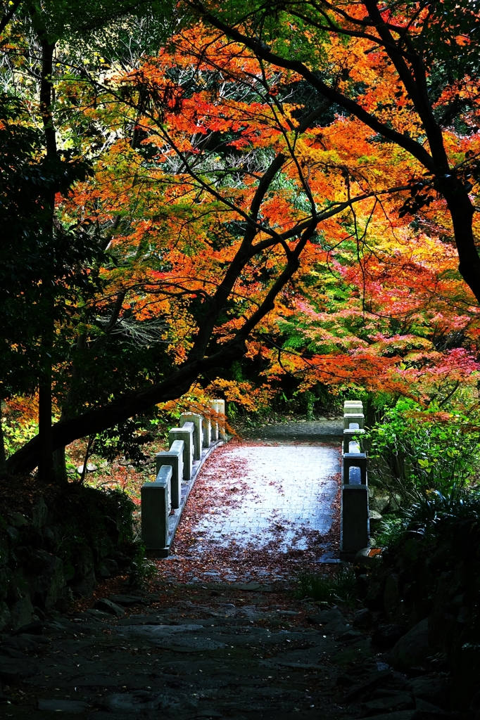 When look back; autumn there