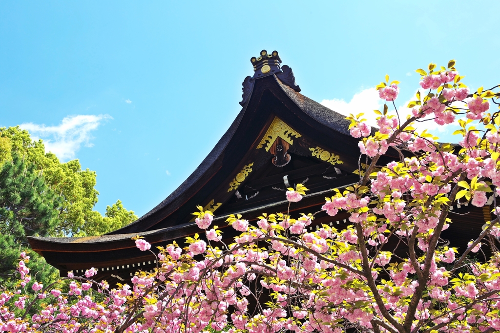 Fujinomori-jinja Shrine 3