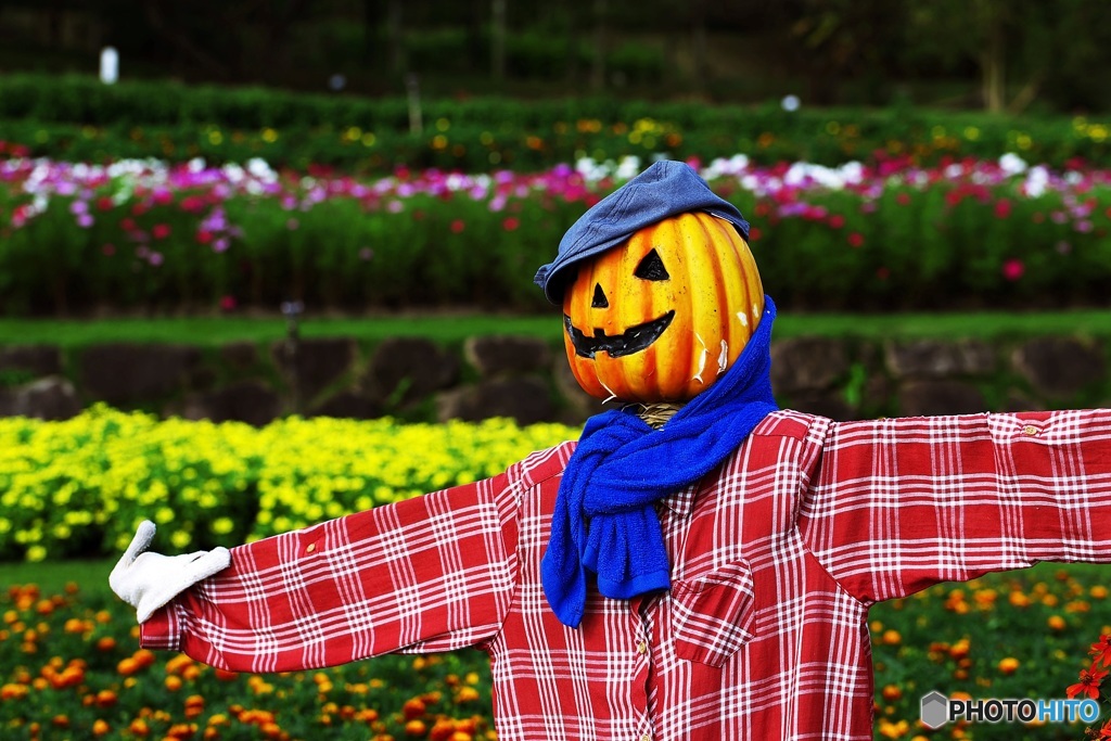 Flower park of October 5