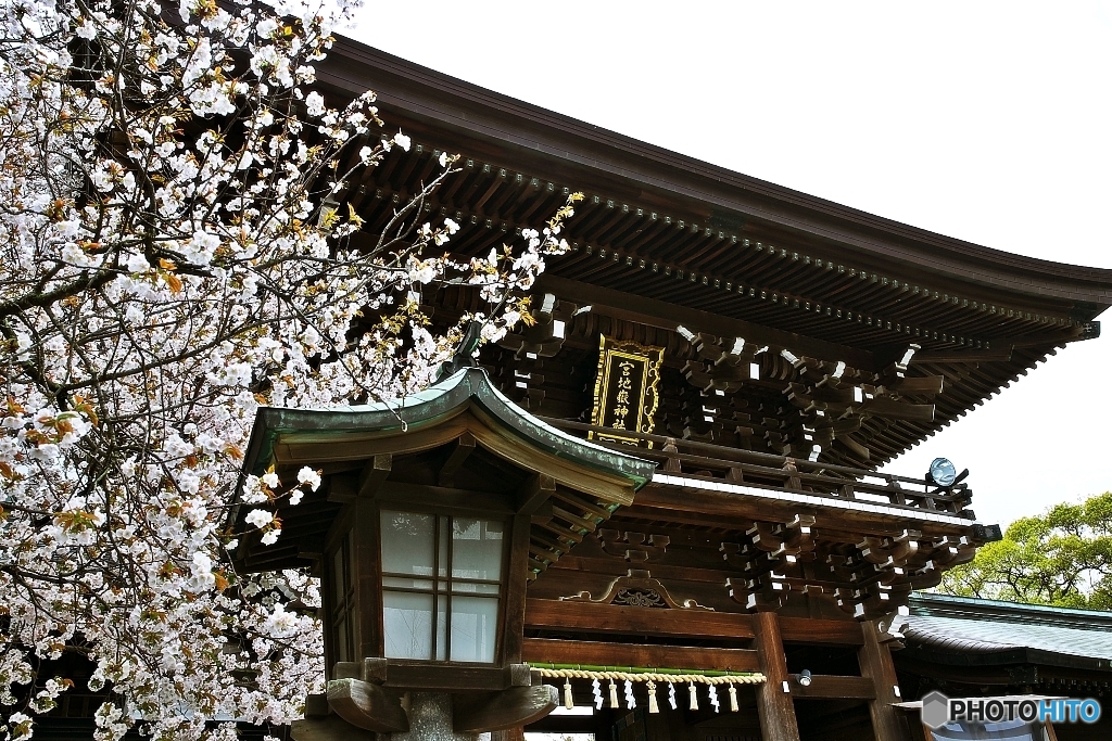 宮地嶽神社・春　その２