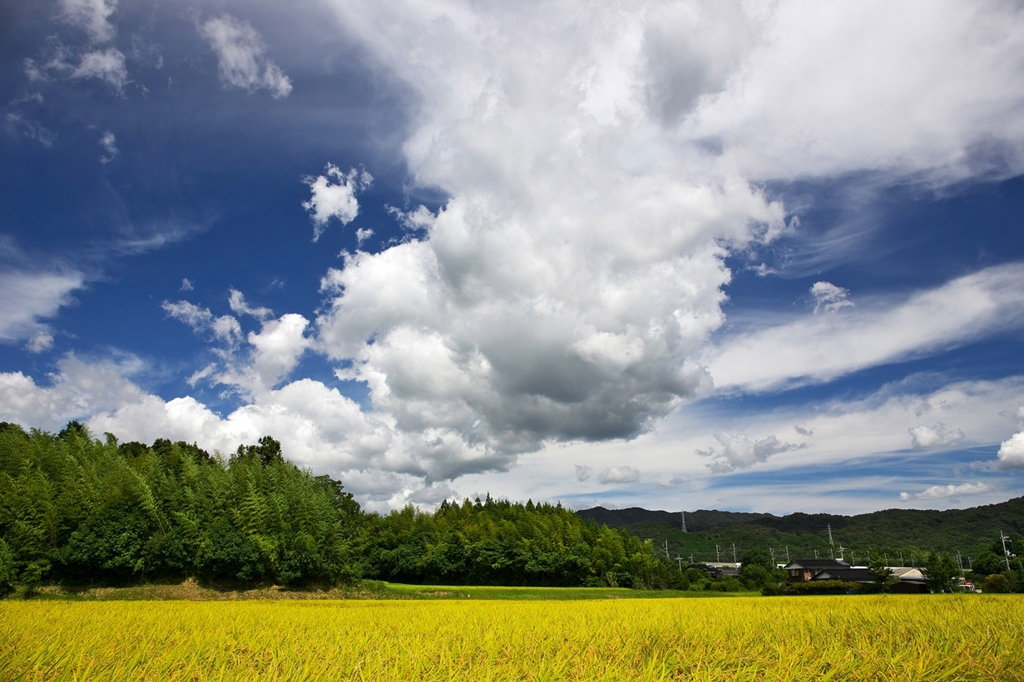 Landscape of autumn sky 3