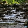 Mountain stream 3
