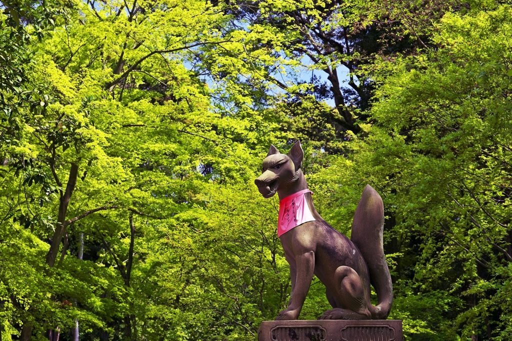 Fushimi-Inari-Taisha Shrine 9