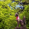 Fushimi-Inari-Taisha Shrine 9