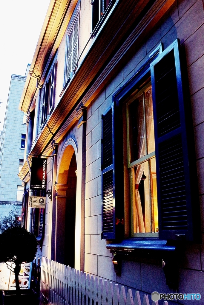 The Window