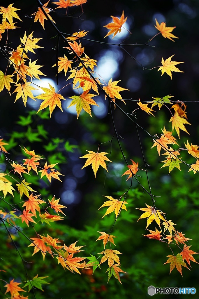 Beauty of overlapping
