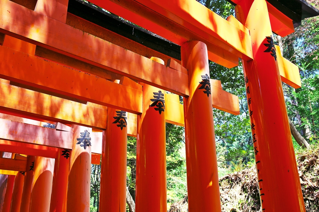 Fushimi-Inari-Taisha Shrine 5